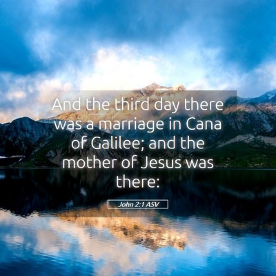Picture 05 - John 2:1 ASV - And the third day there was a marriage in Cana of - Bible Verse Picture