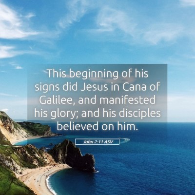 Picture 05 - John 2:11 ASV - This beginning of his signs did Jesus in Cana of - Bible Verse Picture