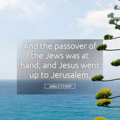 Picture 05 - John 2:13 ASV - And the passover of the Jews was at hand, and - Bible Verse Picture