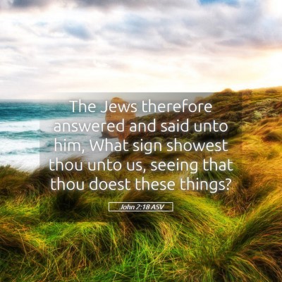 Picture 05 - John 2:18 ASV - The Jews therefore answered and said unto him, - Bible Verse Picture