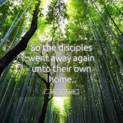 Picture 05 - John 20:10 ASV - So the disciples went away again unto their own - Bible Verse Picture