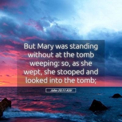 Picture 05 - John 20:11 ASV - But Mary was standing without at the tomb - Bible Verse Picture