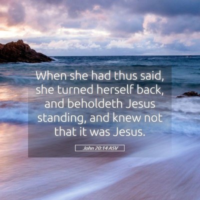Picture 05 - John 20:14 ASV - When she had thus said, she turned herself back, - Bible Verse Picture