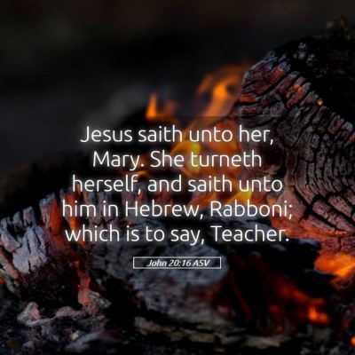 Picture 05 - John 20:16 ASV - Jesus saith unto her, Mary. She turneth herself, - Bible Verse Picture