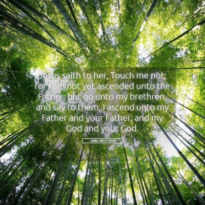 Picture 05 - John 20:17 ASV - Jesus saith to her, Touch me not; for I am not - Bible Verse Picture