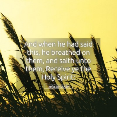Picture 05 - John 20:22 ASV - And when he had said this, he breathed on them, - Bible Verse Picture
