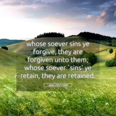 Picture 05 - John 20:23 ASV - whose soever sins ye forgive, they are forgiven - Bible Verse Picture