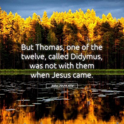 Picture 05 - John 20:24 ASV - But Thomas, one of the twelve, called Didymus, - Bible Verse Picture