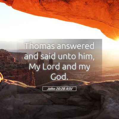 Picture 05 - John 20:28 ASV - Thomas answered and said unto him, My Lord and my - Bible Verse Picture