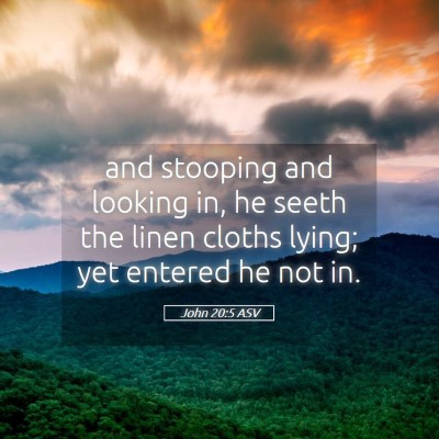 Picture 05 - John 20:5 ASV - and stooping and looking in, he seeth the linen - Bible Verse Picture