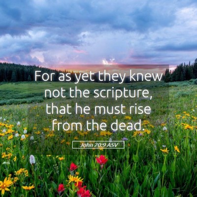 Picture 05 - John 20:9 ASV - For as yet they knew not the scripture, that he - Bible Verse Picture