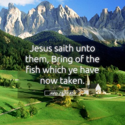 Picture 05 - John 21:10 ASV - Jesus saith unto them, Bring of the fish which ye - Bible Verse Picture