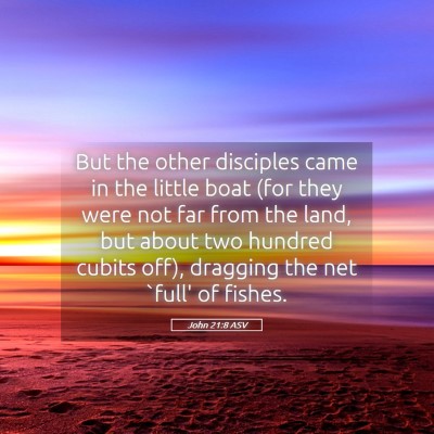 Picture 05 - John 21:8 ASV - But the other disciples came in the little boat - Bible Verse Picture
