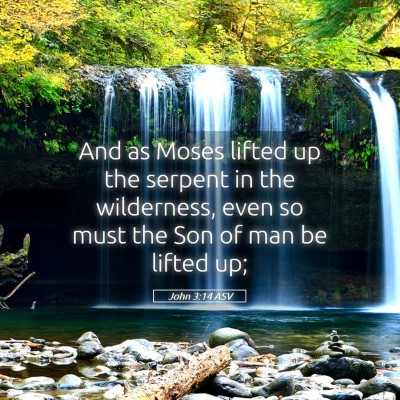 Picture 05 - John 3:14 ASV - And as Moses lifted up the serpent in the - Bible Verse Picture