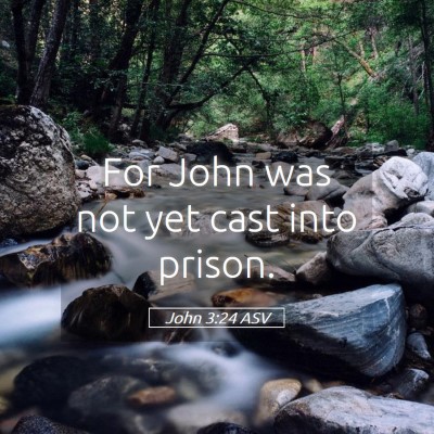 Picture 05 - John 3:24 ASV - For John was not yet cast into - Bible Verse Picture