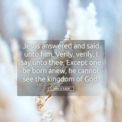 Picture 05 - John 3:3 ASV - Jesus answered and said unto him, Verily, verily, - Bible Verse Picture