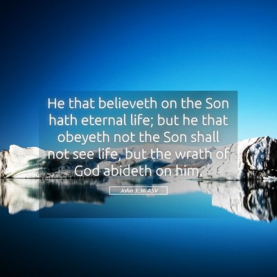 Picture 05 - John 3:36 ASV - He that believeth on the Son hath eternal life; - Bible Verse Picture