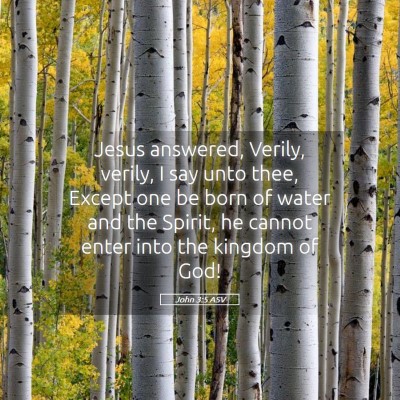 Picture 05 - John 3:5 ASV - Jesus answered, Verily, verily, I say unto thee, - Bible Verse Picture