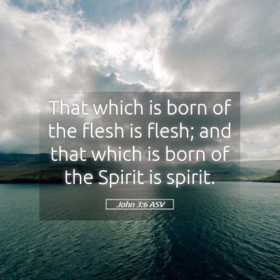 Picture 05 - John 3:6 ASV - That which is born of the flesh is flesh; and - Bible Verse Picture