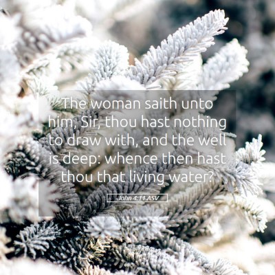 Picture 05 - John 4:11 ASV - The woman saith unto him, Sir, thou hast nothing - Bible Verse Picture