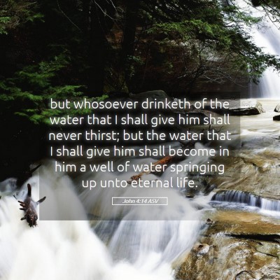 Picture 05 - John 4:14 ASV - but whosoever drinketh of the water that I shall - Bible Verse Picture