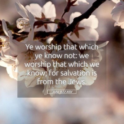 Picture 05 - John 4:22 ASV - Ye worship that which ye know not: we worship - Bible Verse Picture