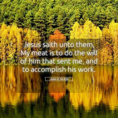 Picture 05 - John 4:34 ASV - Jesus saith unto them, My meat is to do the will - Bible Verse Picture
