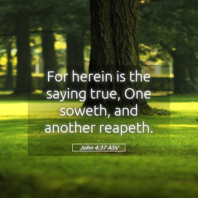 Picture 05 - John 4:37 ASV - For herein is the saying true, One soweth, and - Bible Verse Picture