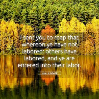 Picture 05 - John 4:38 ASV - I sent you to reap that whereon ye have not - Bible Verse Picture