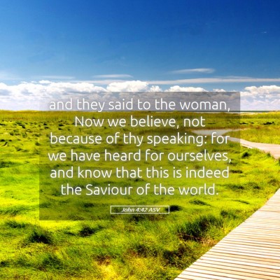 Picture 05 - John 4:42 ASV - and they said to the woman, Now we believe, not - Bible Verse Picture