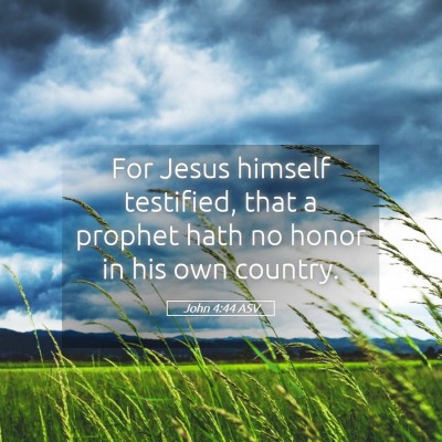 Picture 05 - John 4:44 ASV - For Jesus himself testified, that a prophet hath - Bible Verse Picture