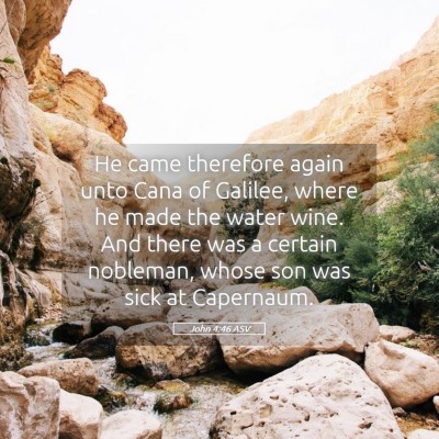 Picture 05 - John 4:46 ASV - He came therefore again unto Cana of Galilee, - Bible Verse Picture