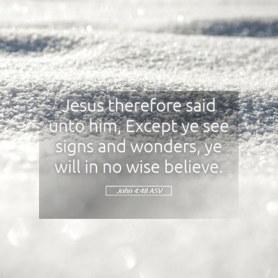 Picture 05 - John 4:48 ASV - Jesus therefore said unto him, Except ye see - Bible Verse Picture