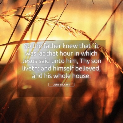 Picture 05 - John 4:53 ASV - So the father knew that `it was' at that hour in - Bible Verse Picture
