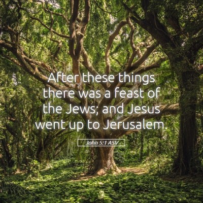 Picture 05 - John 5:1 ASV - After these things there was a feast of the Jews; - Bible Verse Picture