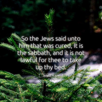 Picture 05 - John 5:10 ASV - So the Jews said unto him that was cured, It is - Bible Verse Picture