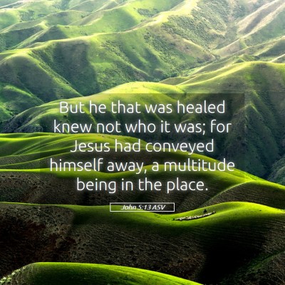 Picture 05 - John 5:13 ASV - But he that was healed knew not who it was; for - Bible Verse Picture