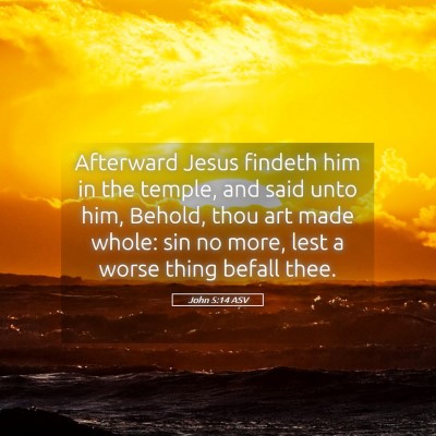 Picture 05 - John 5:14 ASV - Afterward Jesus findeth him in the temple, and - Bible Verse Picture