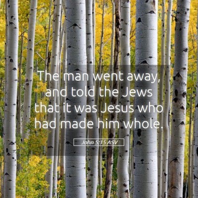 Picture 05 - John 5:15 ASV - The man went away, and told the Jews that it was - Bible Verse Picture