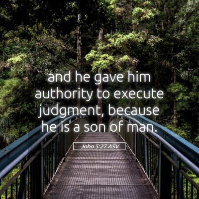 Picture 05 - John 5:27 ASV - and he gave him authority to execute judgment, - Bible Verse Picture