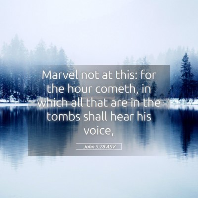 Picture 05 - John 5:28 ASV - Marvel not at this: for the hour cometh, in which - Bible Verse Picture