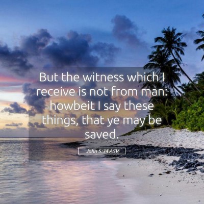 Picture 05 - John 5:34 ASV - But the witness which I receive is not from man: - Bible Verse Picture