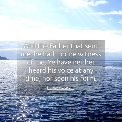 Picture 05 - John 5:37 ASV - And the Father that sent me, he hath borne - Bible Verse Picture