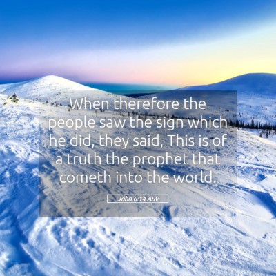 Picture 05 - John 6:14 ASV - When therefore the people saw the sign which he - Bible Verse Picture
