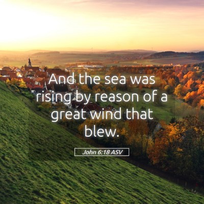 Picture 05 - John 6:18 ASV - And the sea was rising by reason of a great wind - Bible Verse Picture