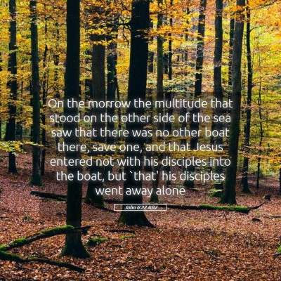 Picture 05 - John 6:22 ASV - On the morrow the multitude that stood on the - Bible Verse Picture