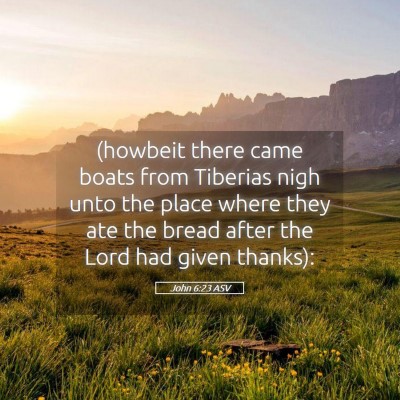 Picture 05 - John 6:23 ASV - (howbeit there came boats from Tiberias nigh unto - Bible Verse Picture