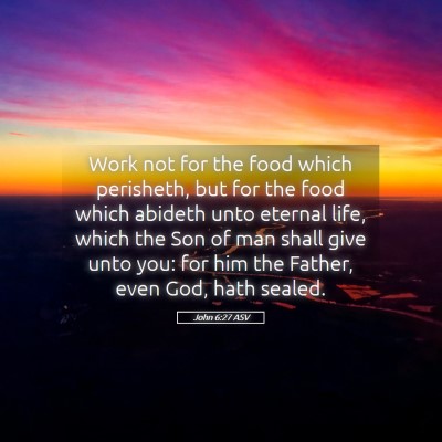 Picture 05 - John 6:27 ASV - Work not for the food which perisheth, but for - Bible Verse Picture