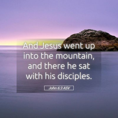 Picture 05 - John 6:3 ASV - And Jesus went up into the mountain, and there he - Bible Verse Picture