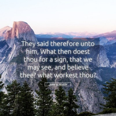 Picture 05 - John 6:30 ASV - They said therefore unto him, What then doest - Bible Verse Picture